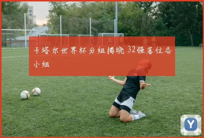 卡塔尔世界杯分组揭晓 32强落位各小组
