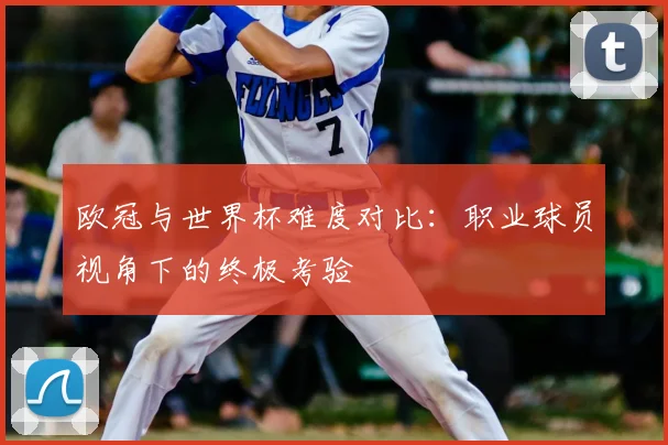 欧冠与世界杯难度对比:职业球员视角下的终极考验