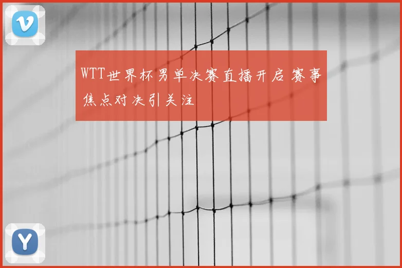 WTT世界杯男单决赛直播开启 赛事焦点对决引关注