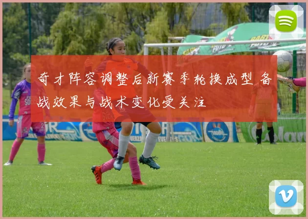 奇才阵容调整后新赛季轮换成型 备战效果与战术变化受关注